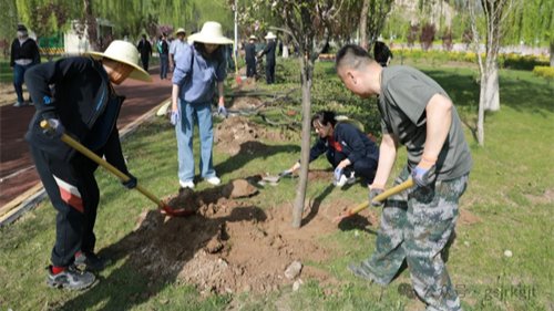 “植此青绿，共绘青山”——甘肃金控集团开展义务植树活动